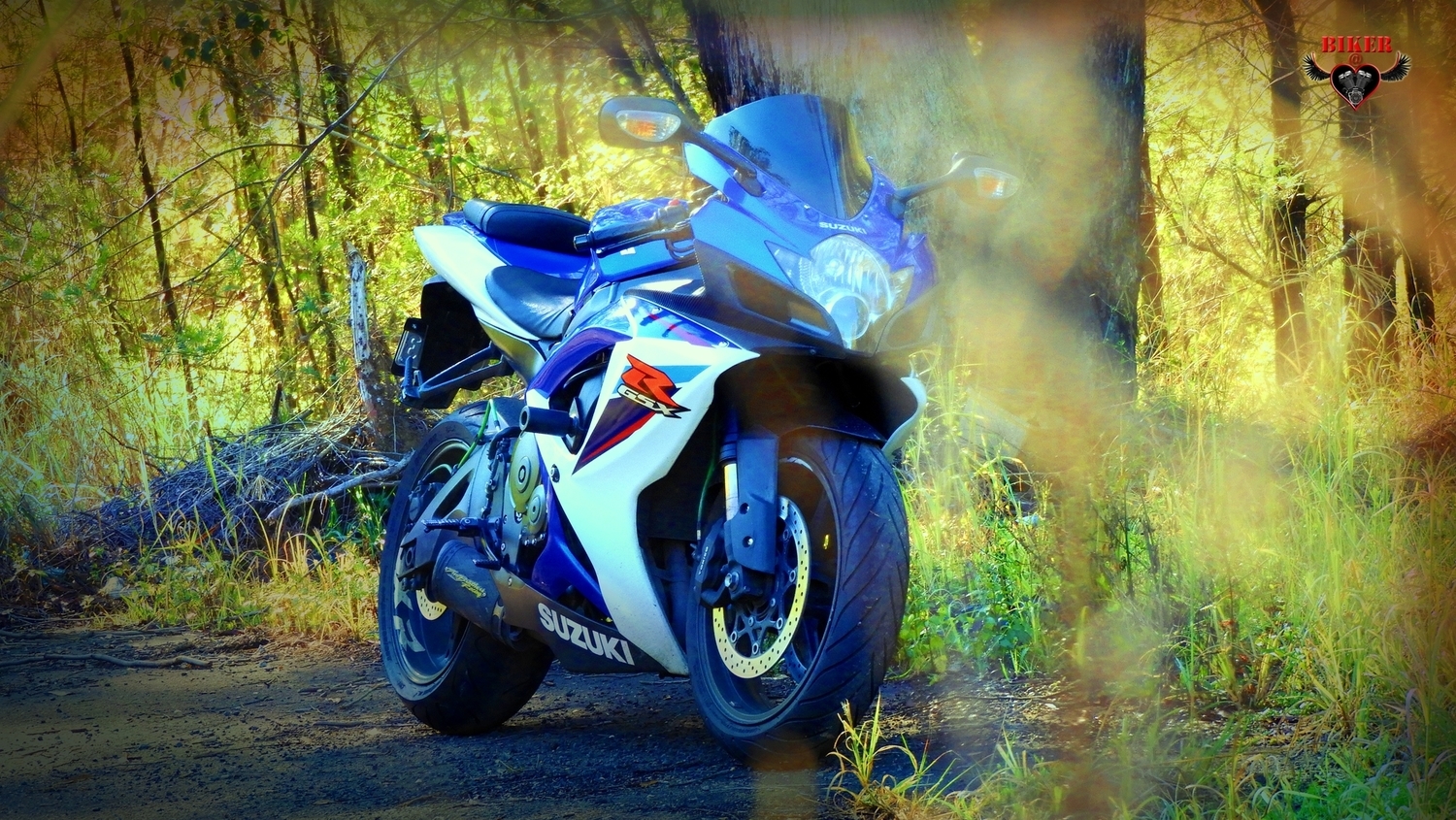 Photo 2808799