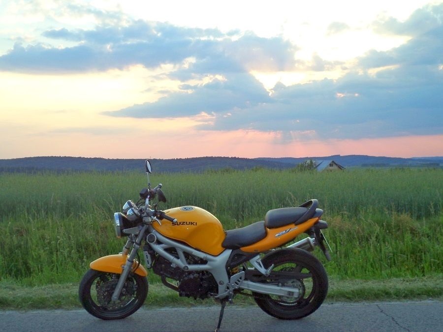 Photo 2808879