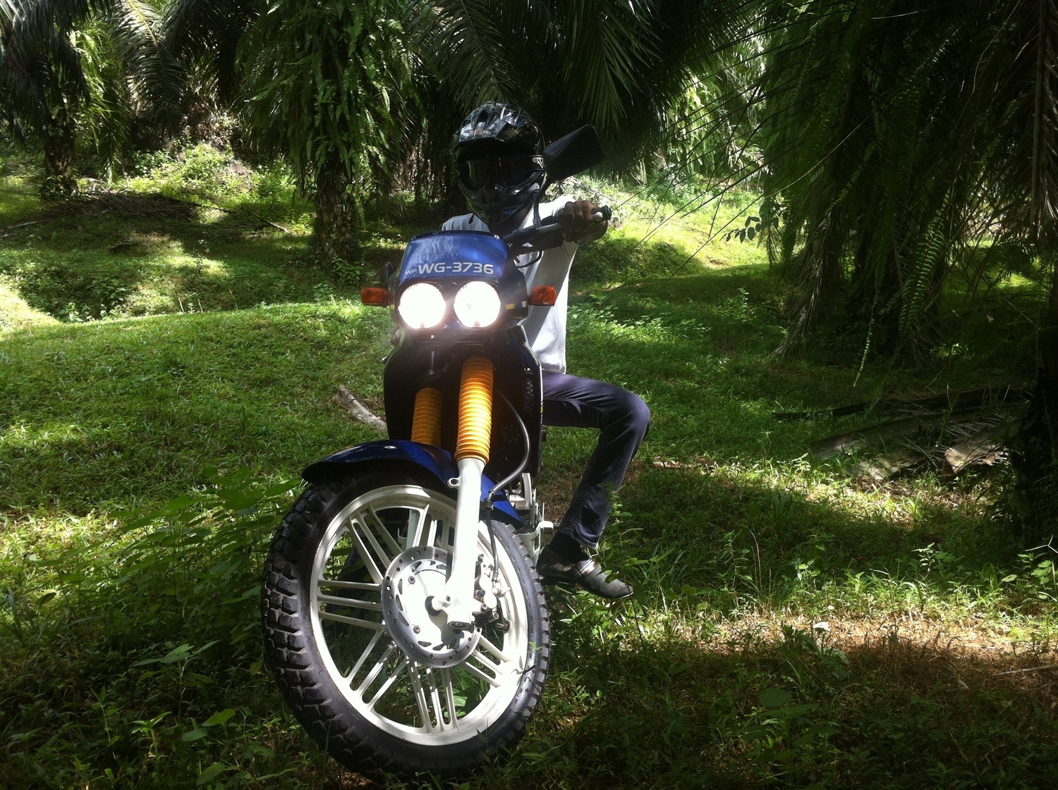 Photo 2809006