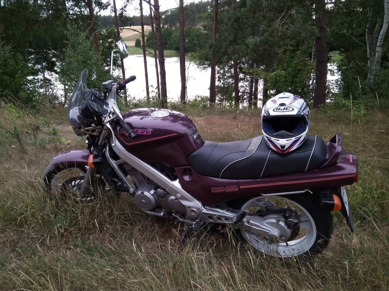 Photo 2809155