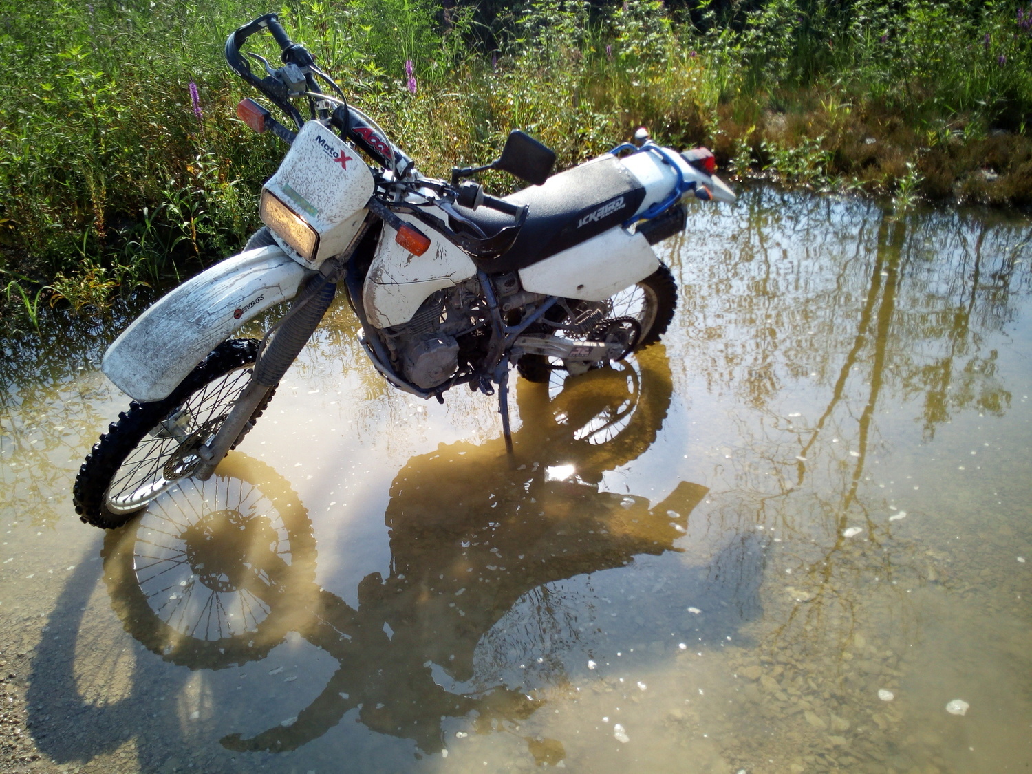 Bike Photo 2809241