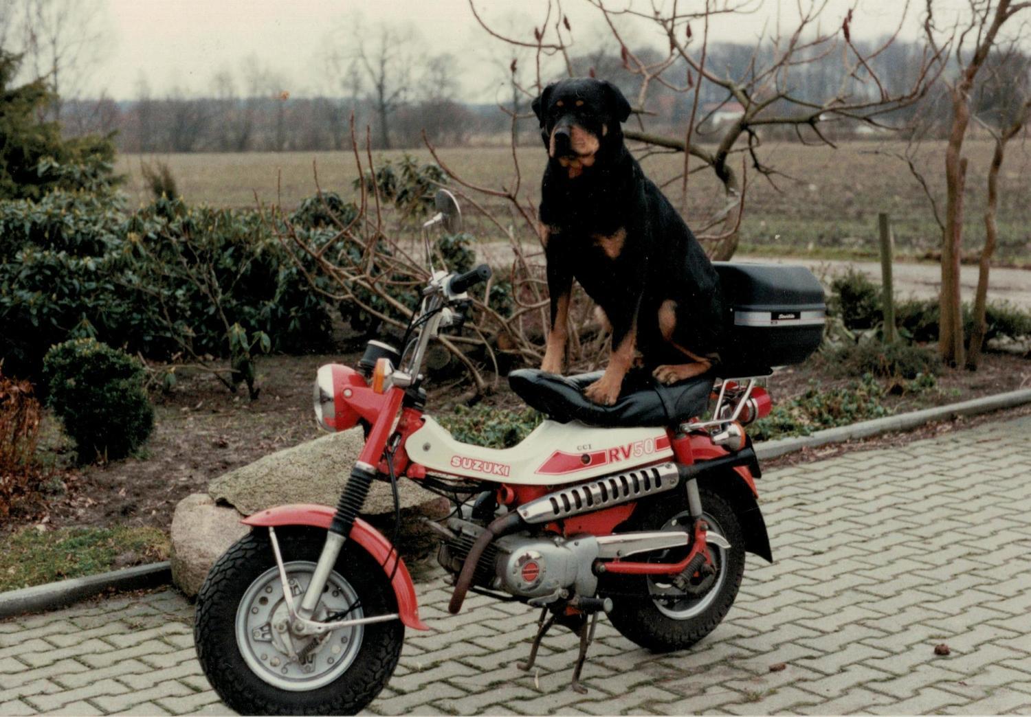 RV 50
