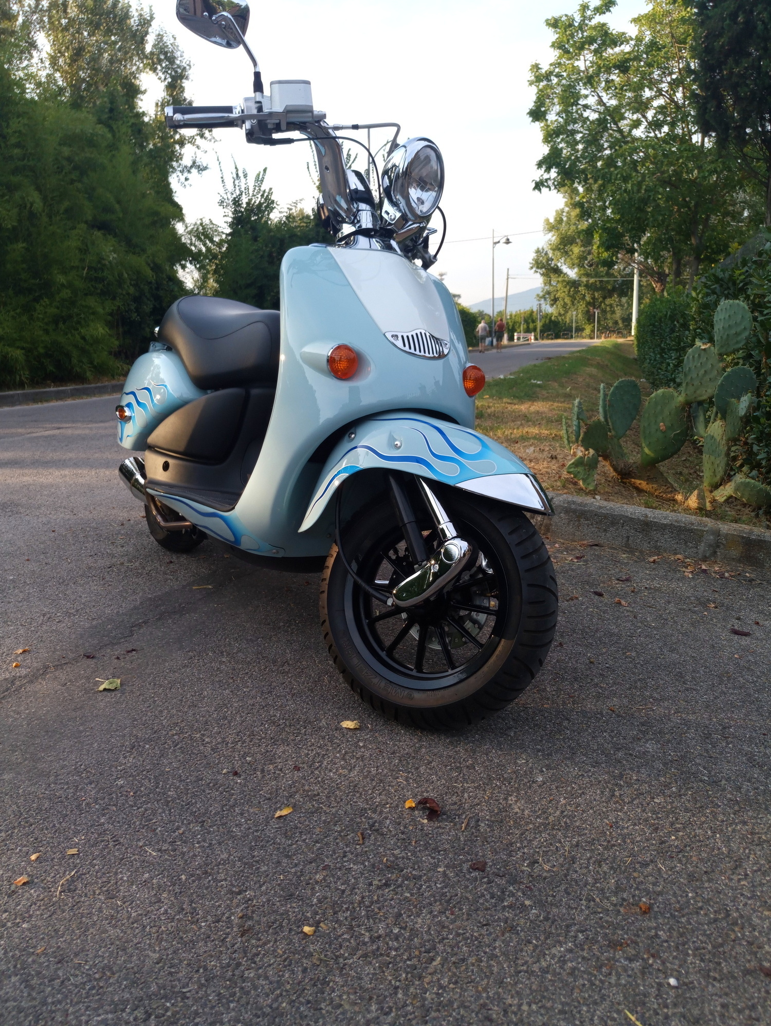 Photo 2809370