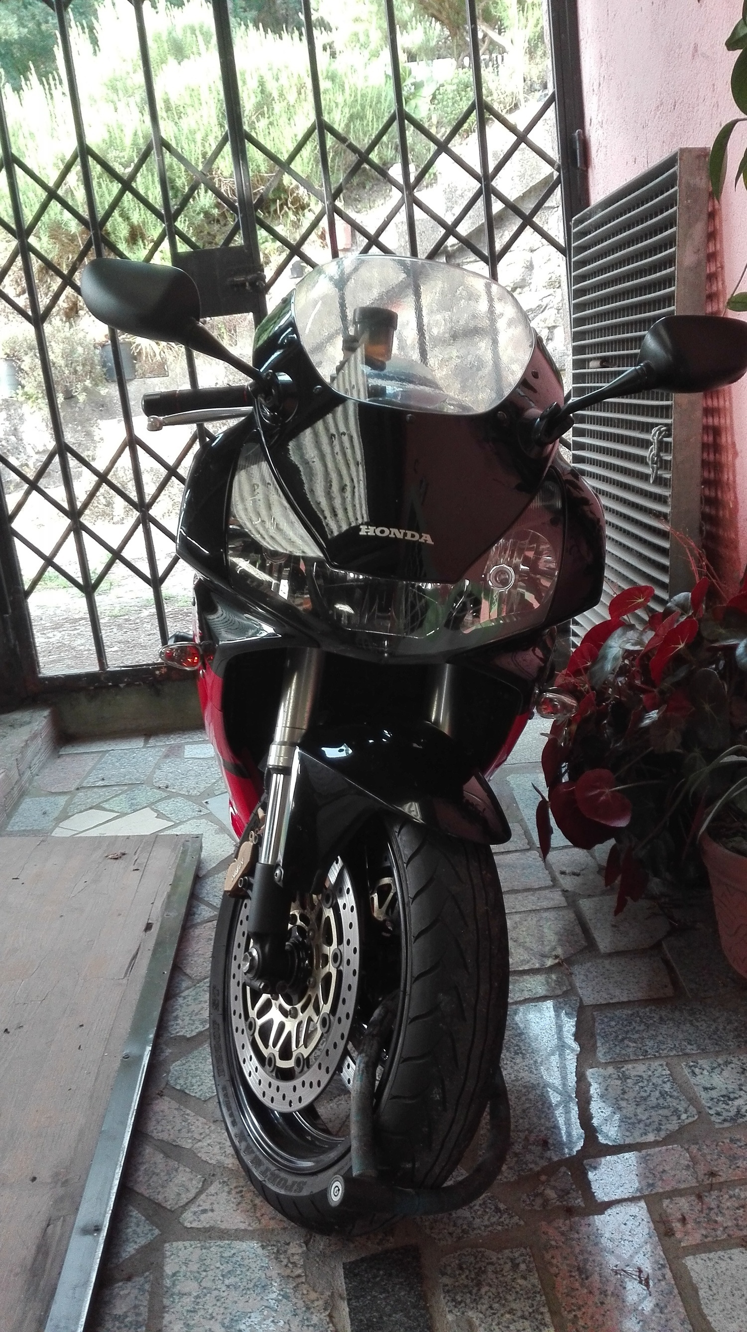Photo 2809397