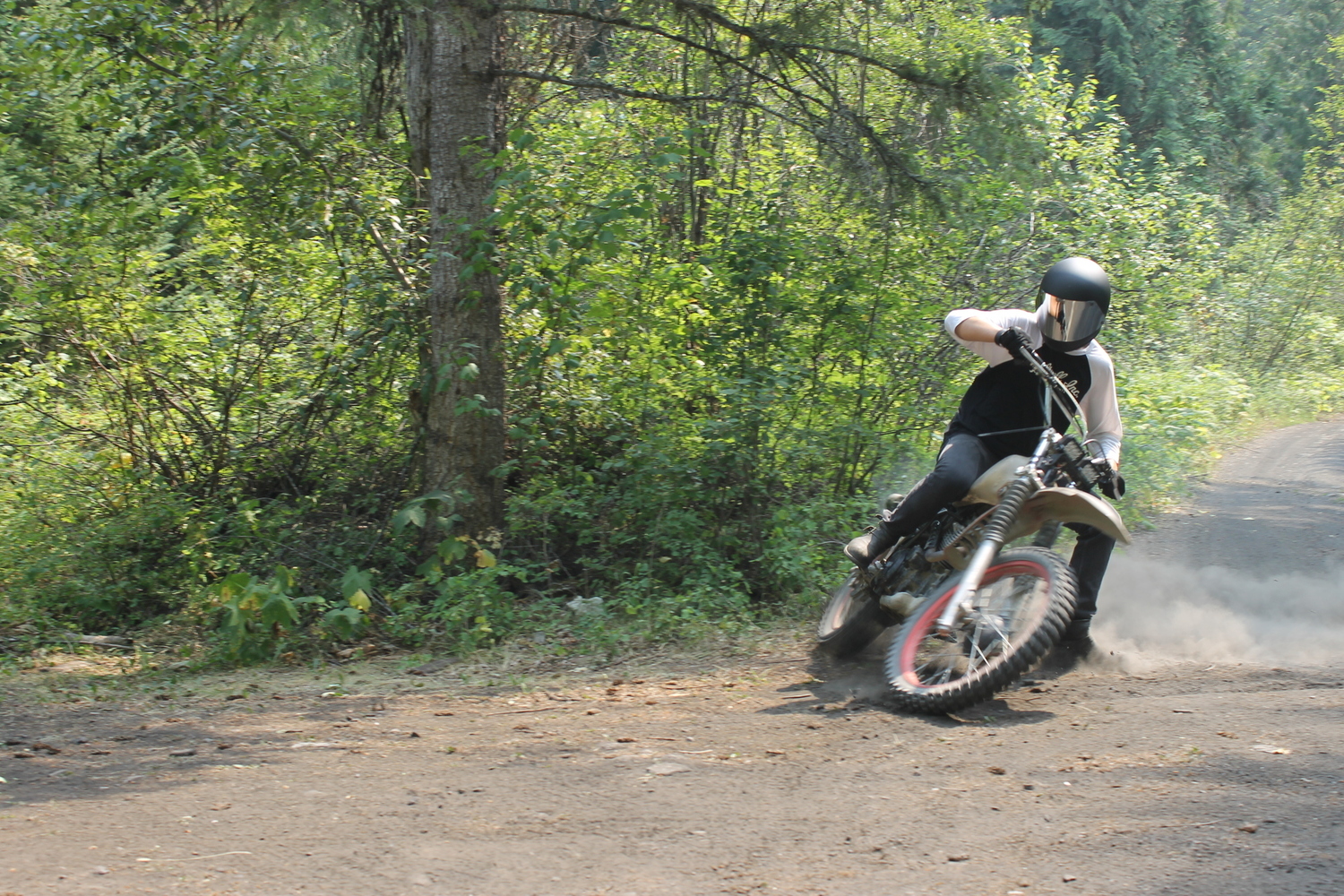 Bike Photo 2809480