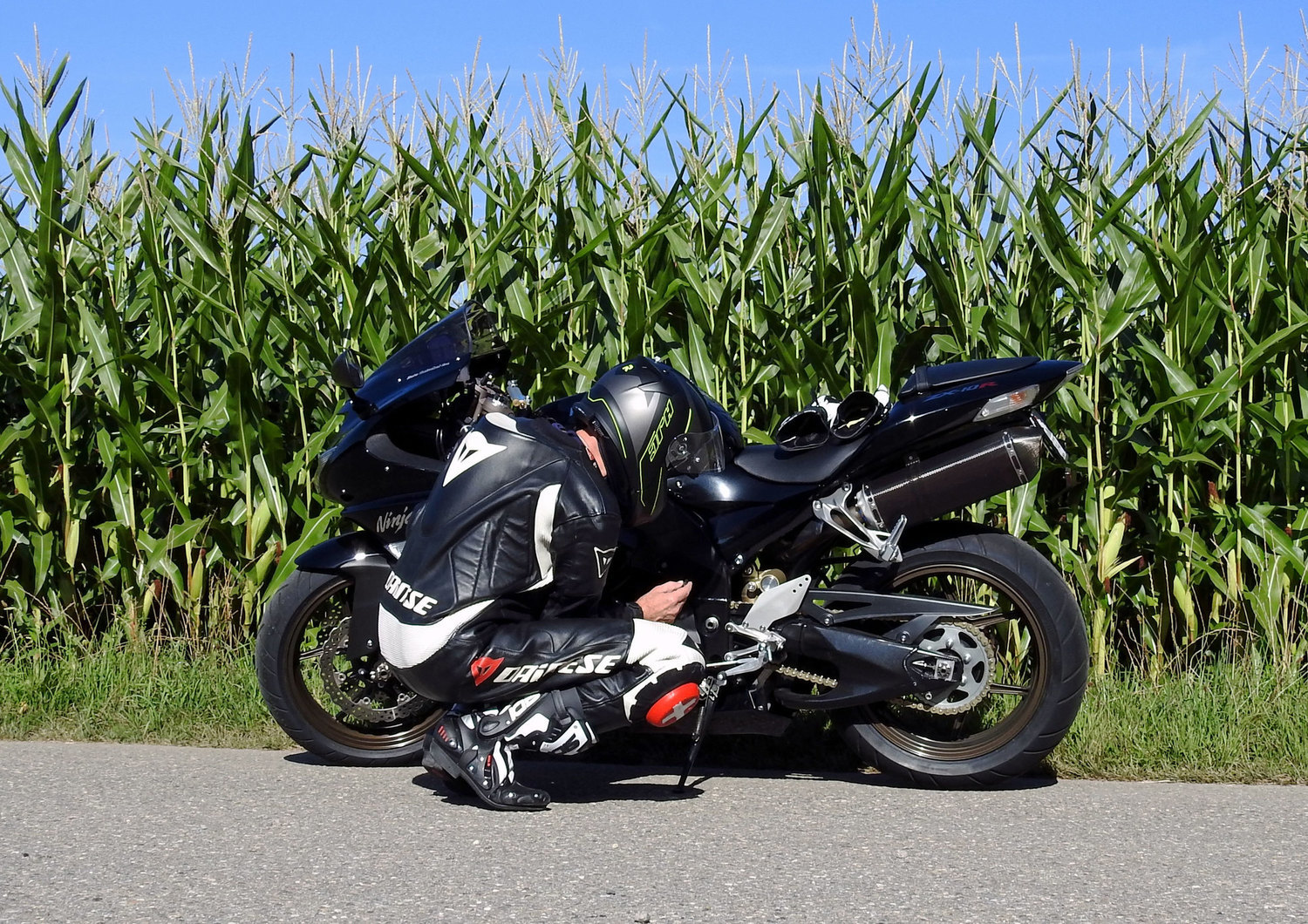 Bike Photo 2809607