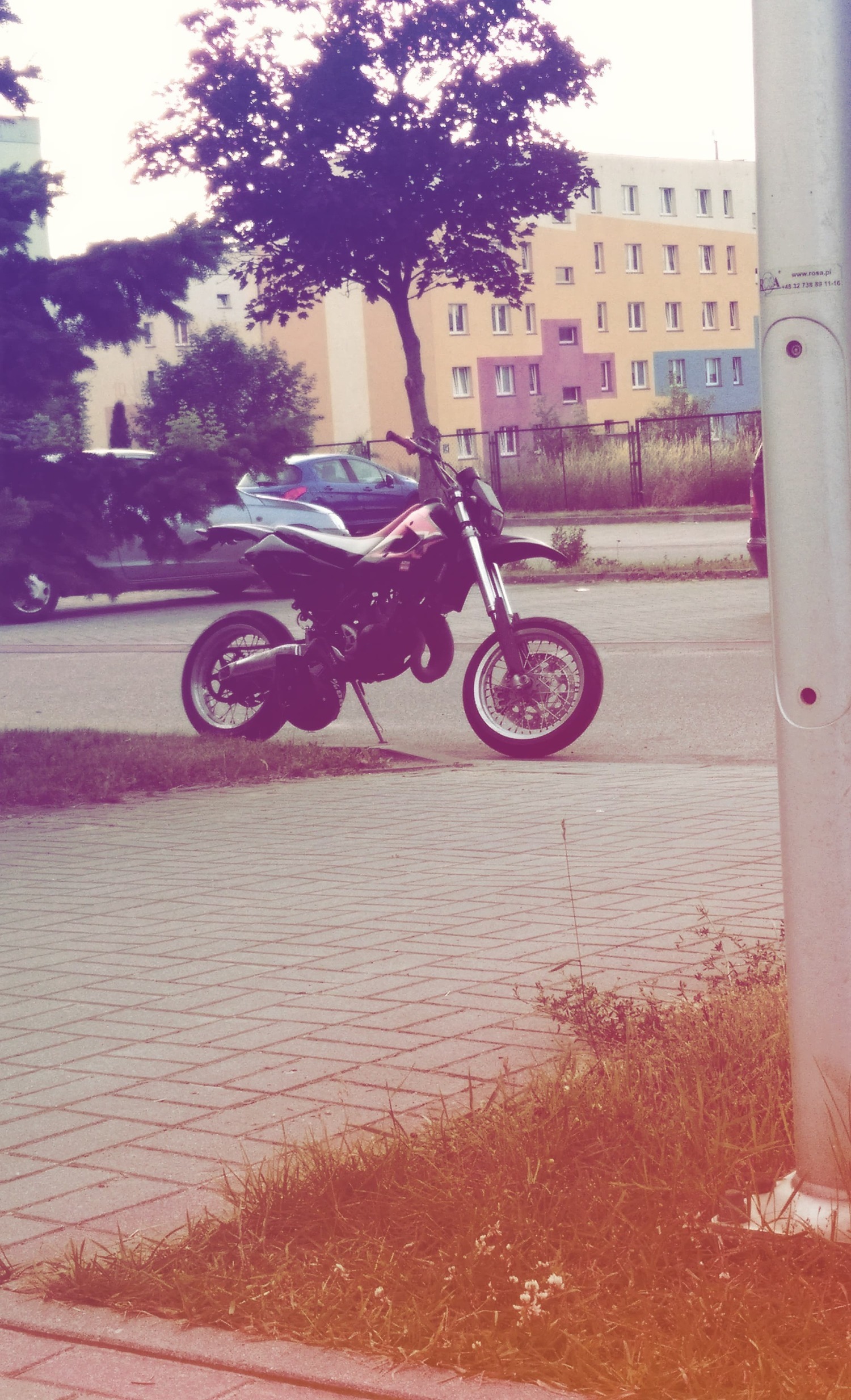 Photo 2809906