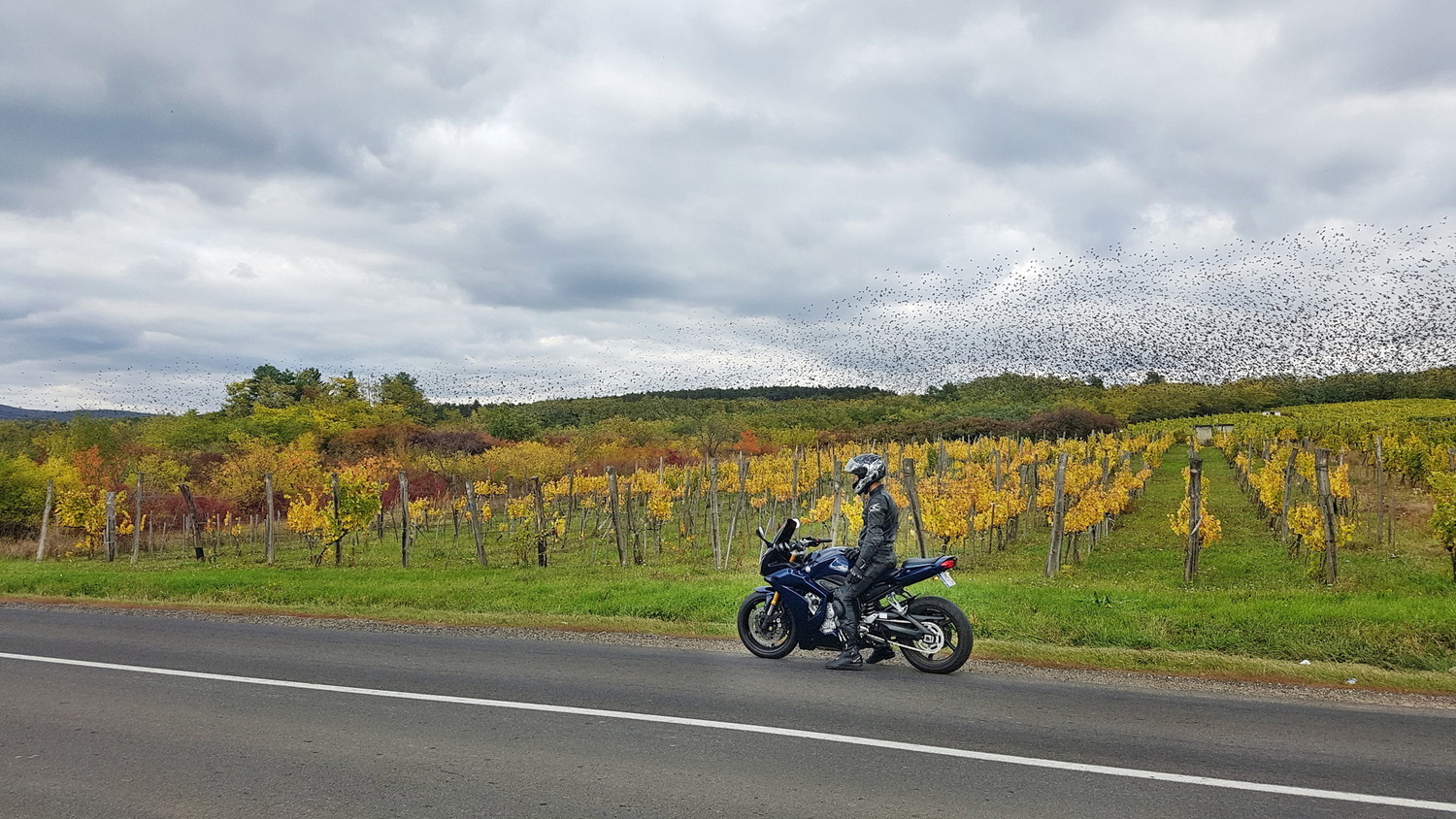Bike Photo 2809962