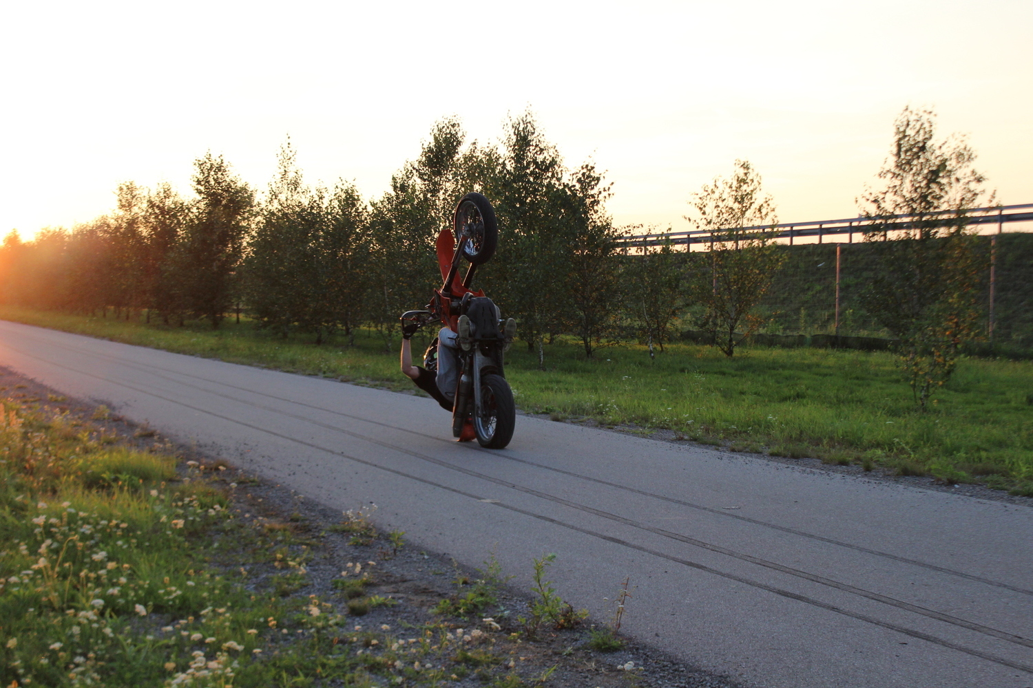 Photo 2810259