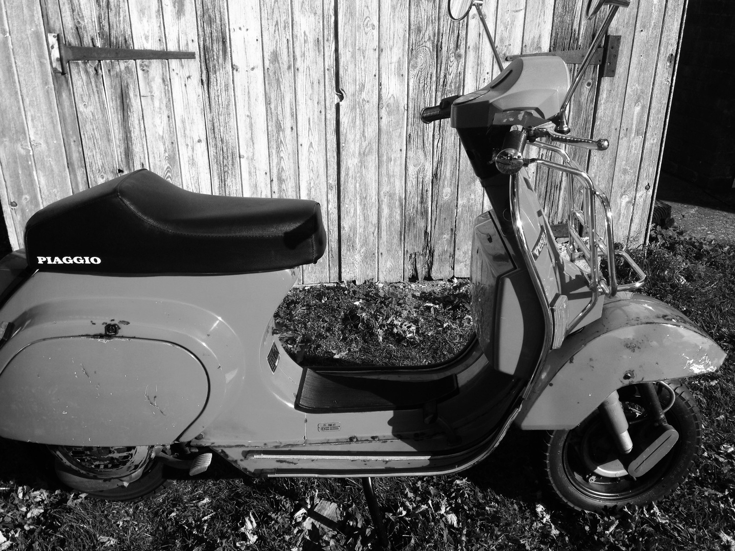 Photo 2810446