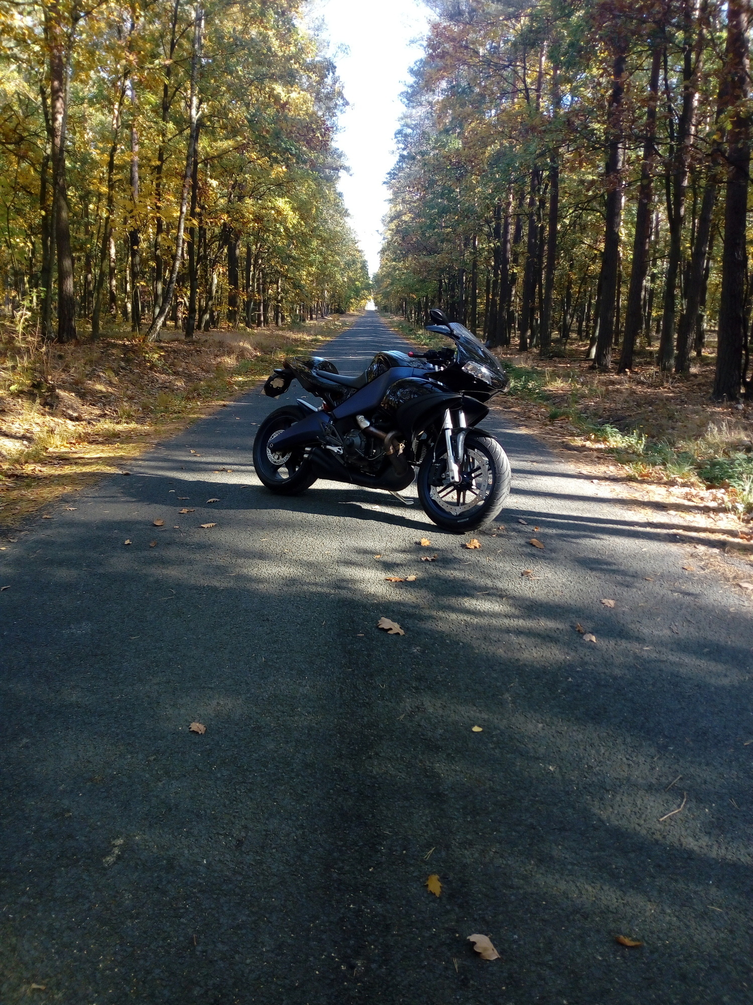 Bike Photo 2810566