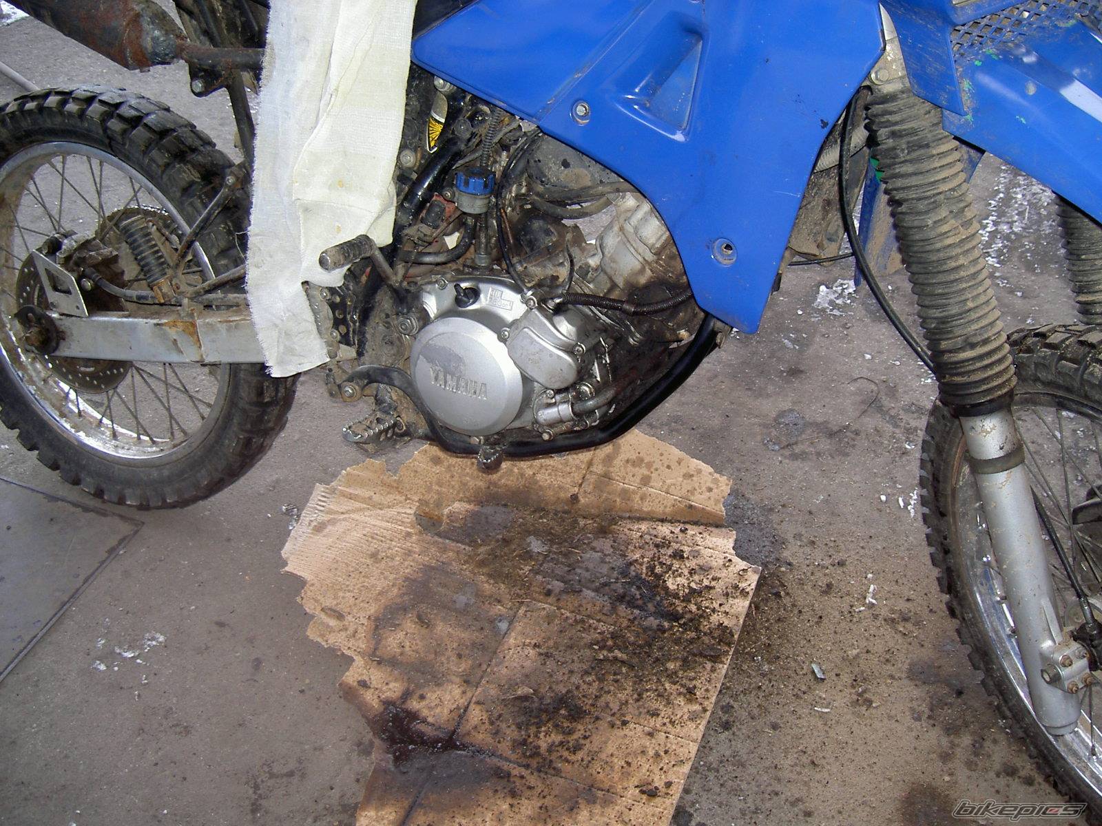 Bike Photo 281096