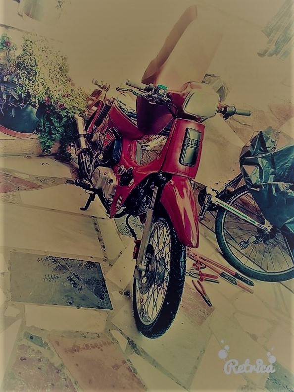 Photo 2810993