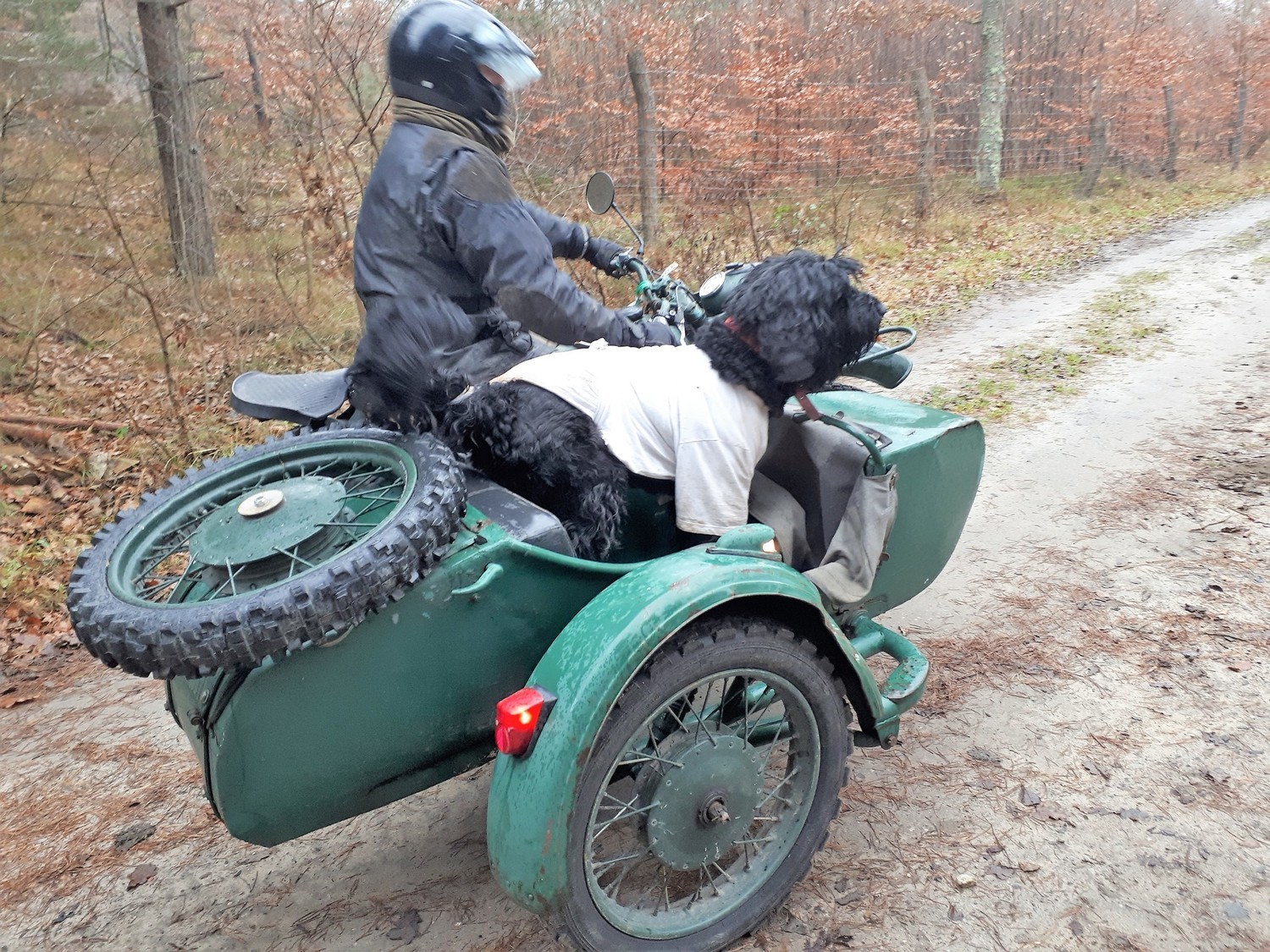 Photo 2811141
