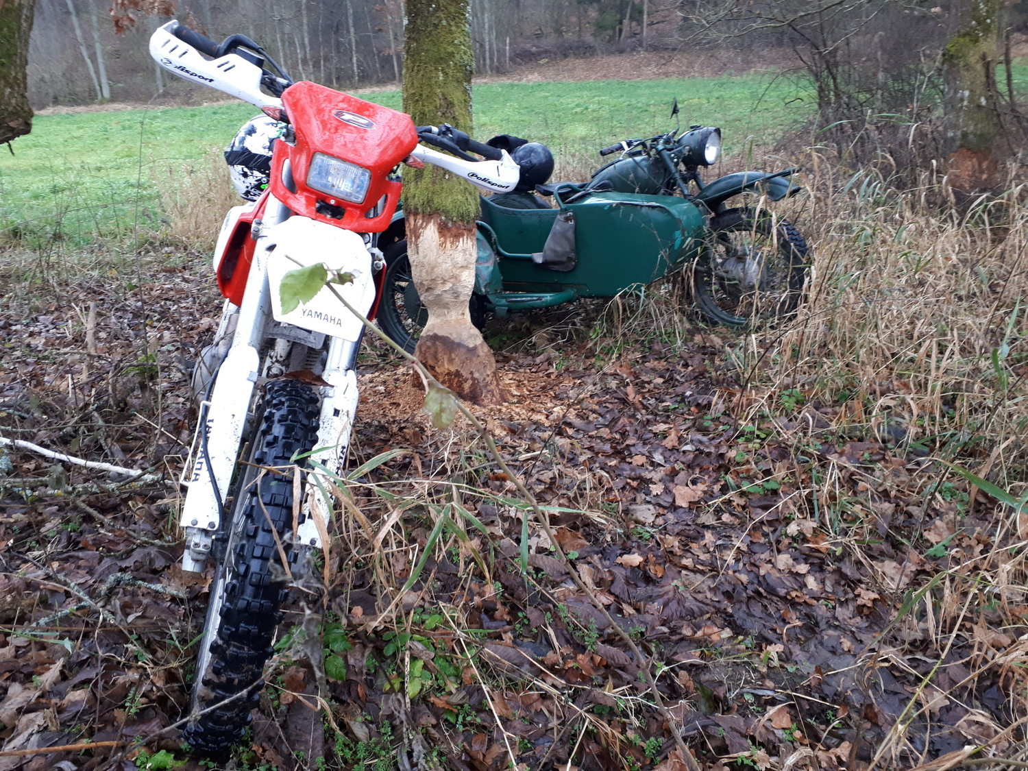 Photo 2811143