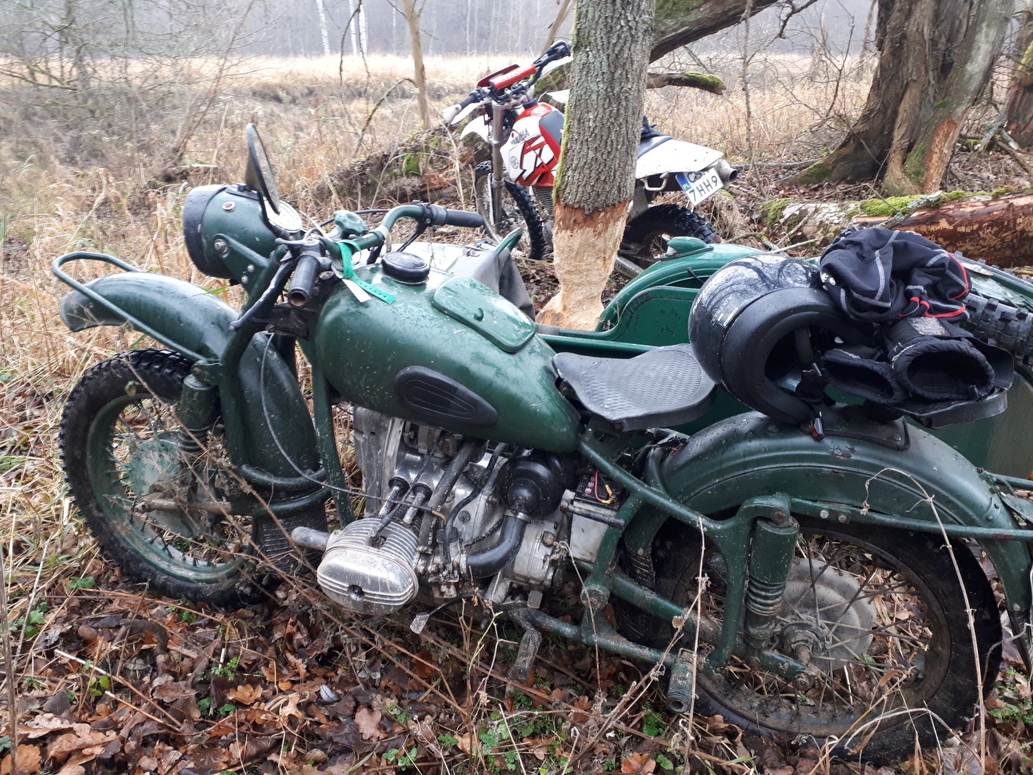 Photo 2811145