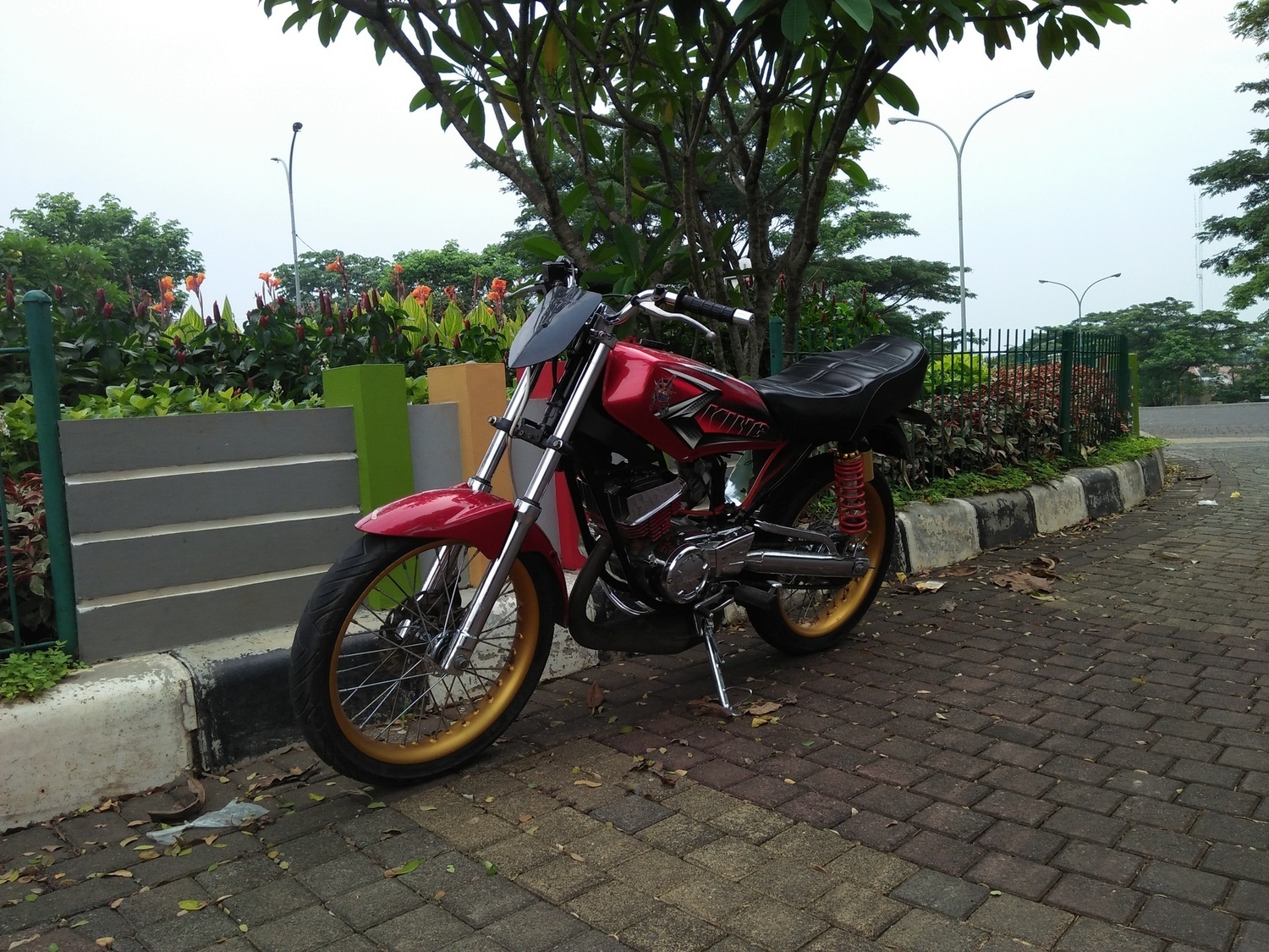 Photo 2811157