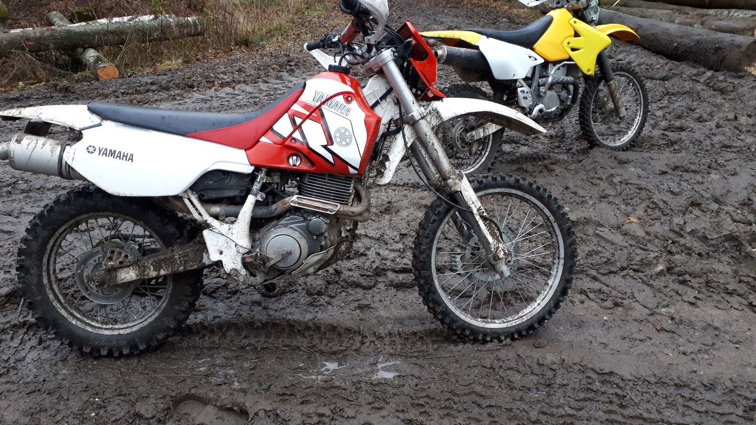 Photo 2811254