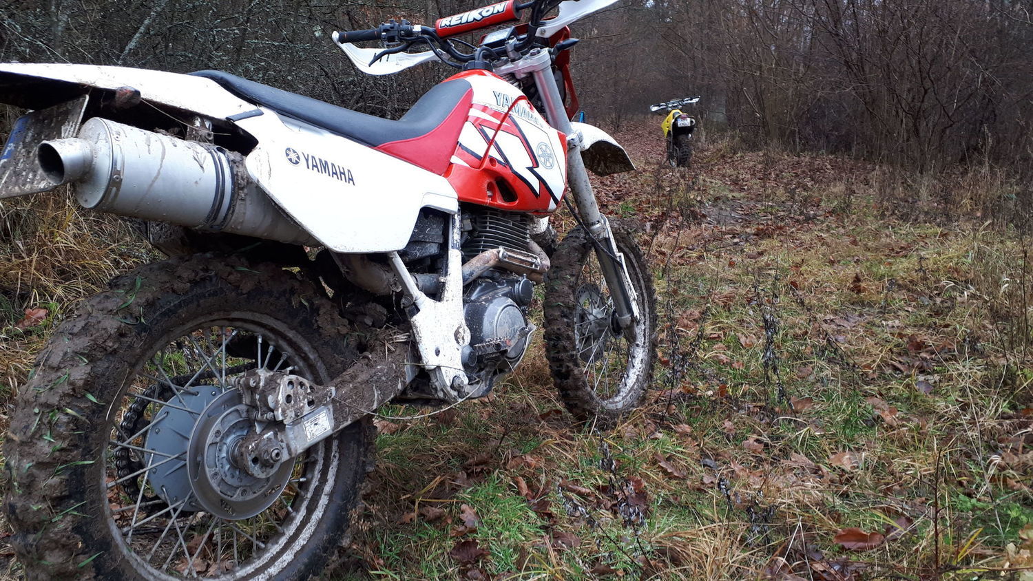 Photo 2811257
