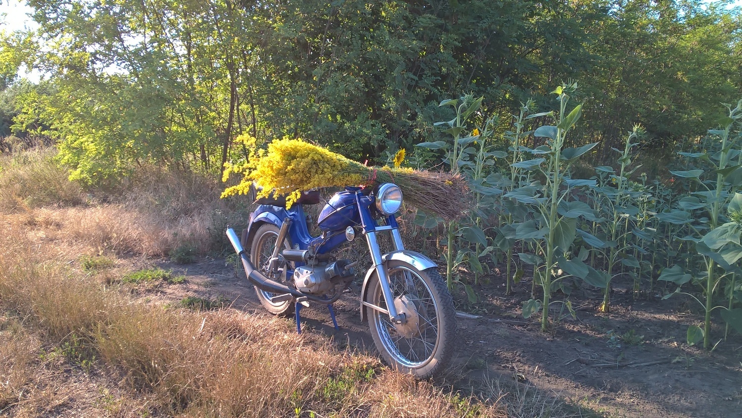 Bike Photo 2811261