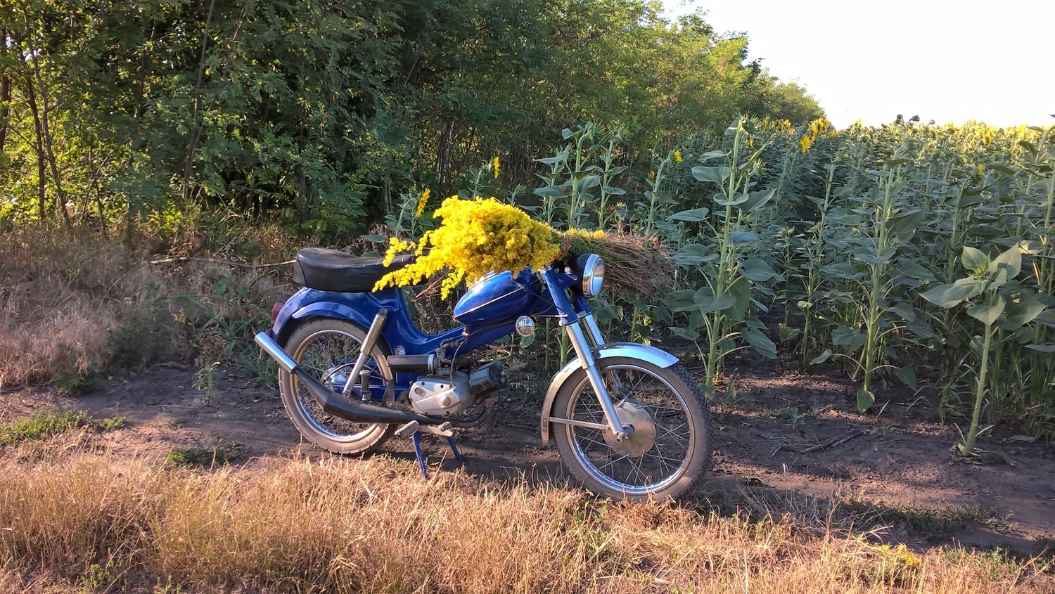 Bike Photo 2811262