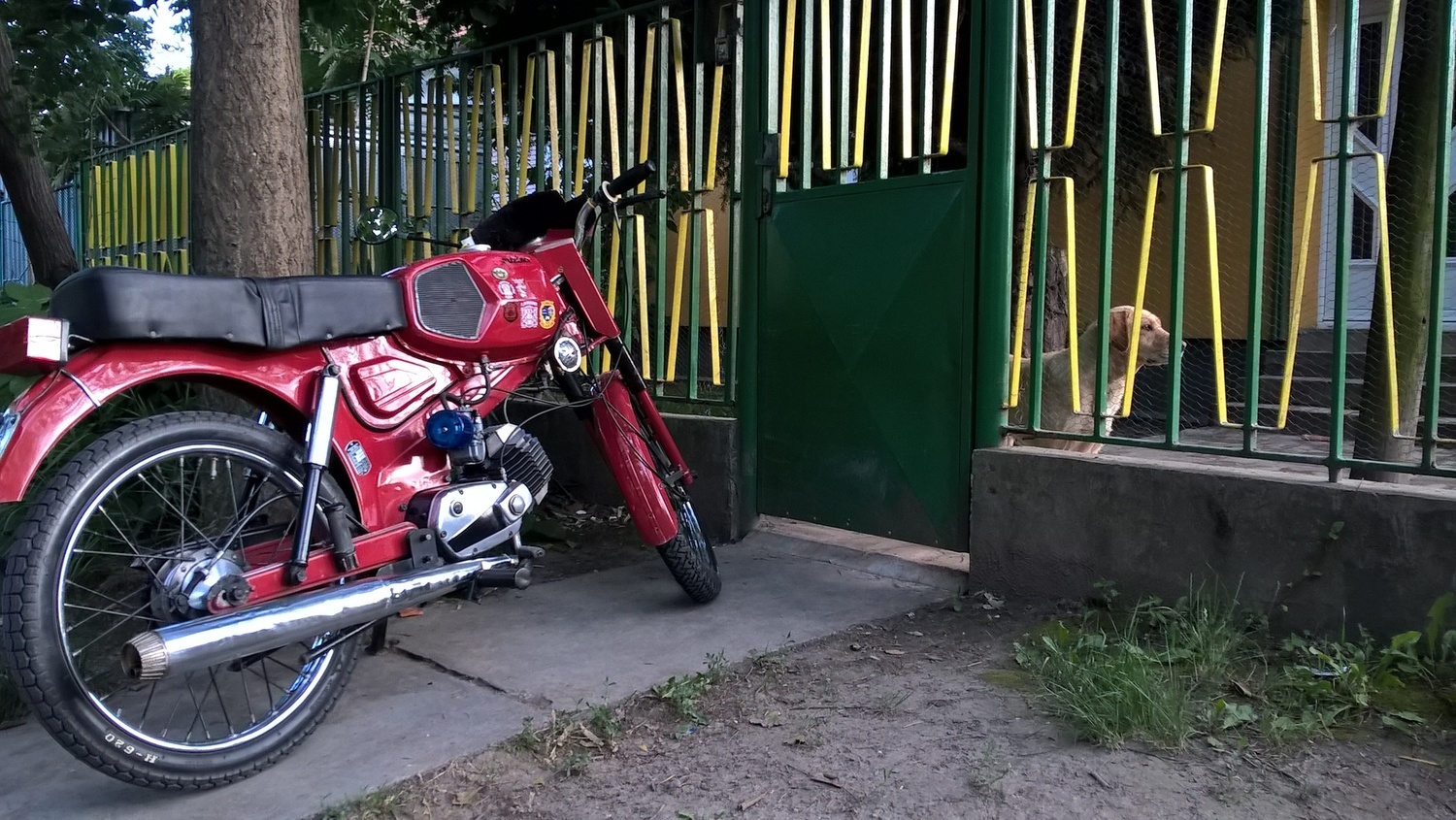 Bike Photo 2811382