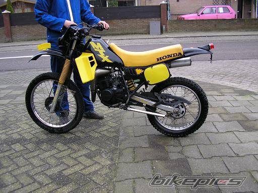 Photo 281139