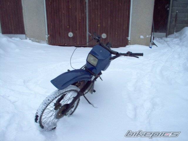 Photo 281142