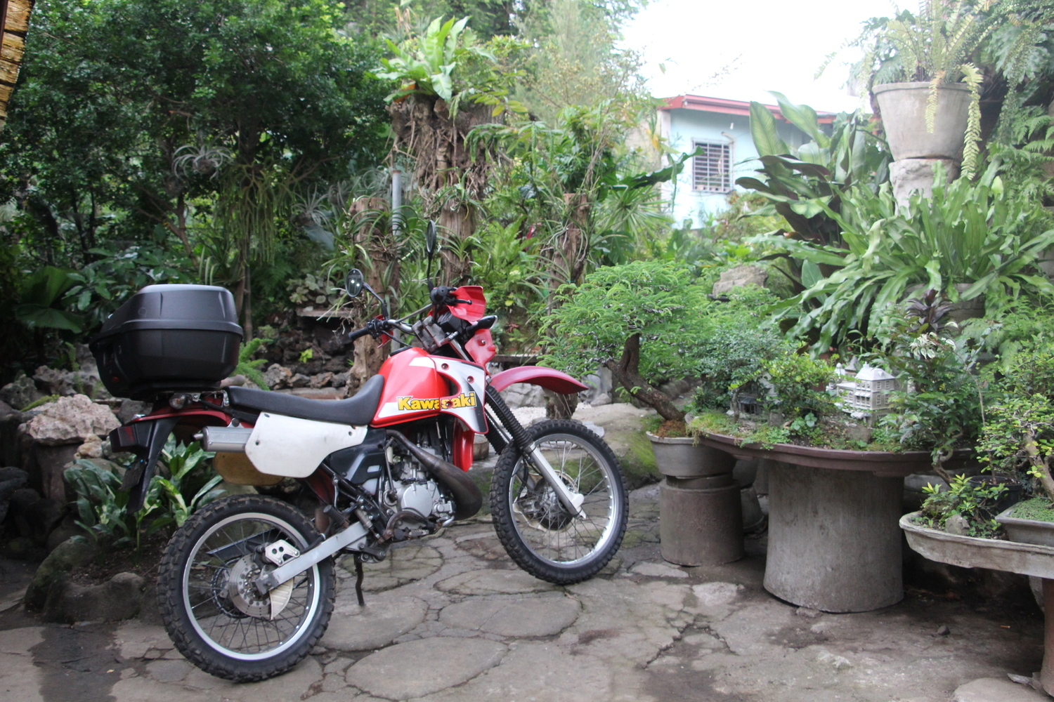 Photo 2811445