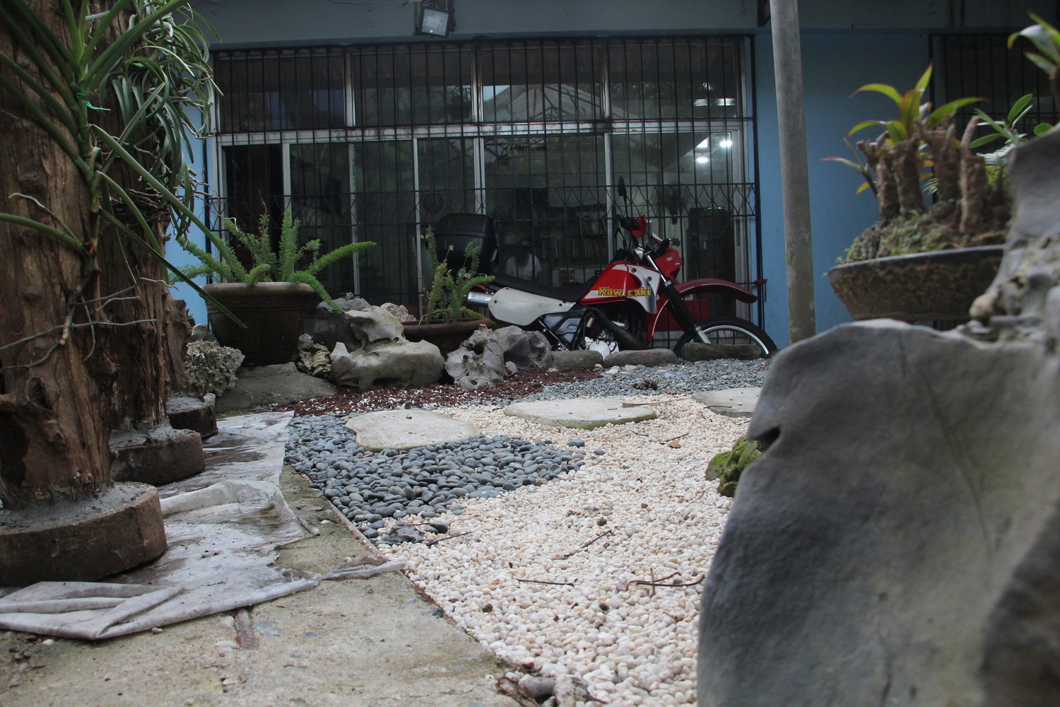 Photo 2811448