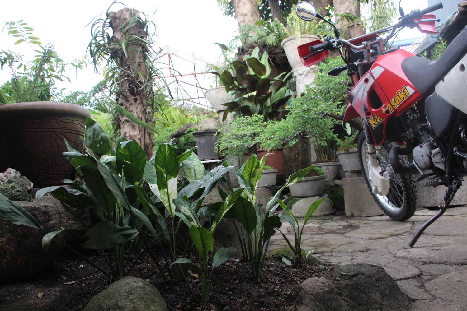 Photo 2811449
