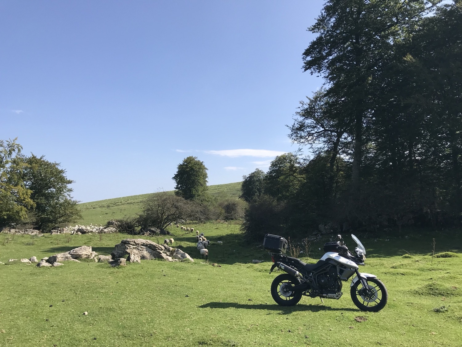 Photo 2811504
