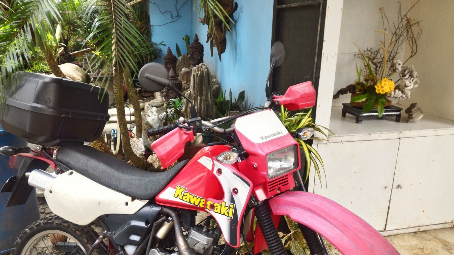 Photo 2811510