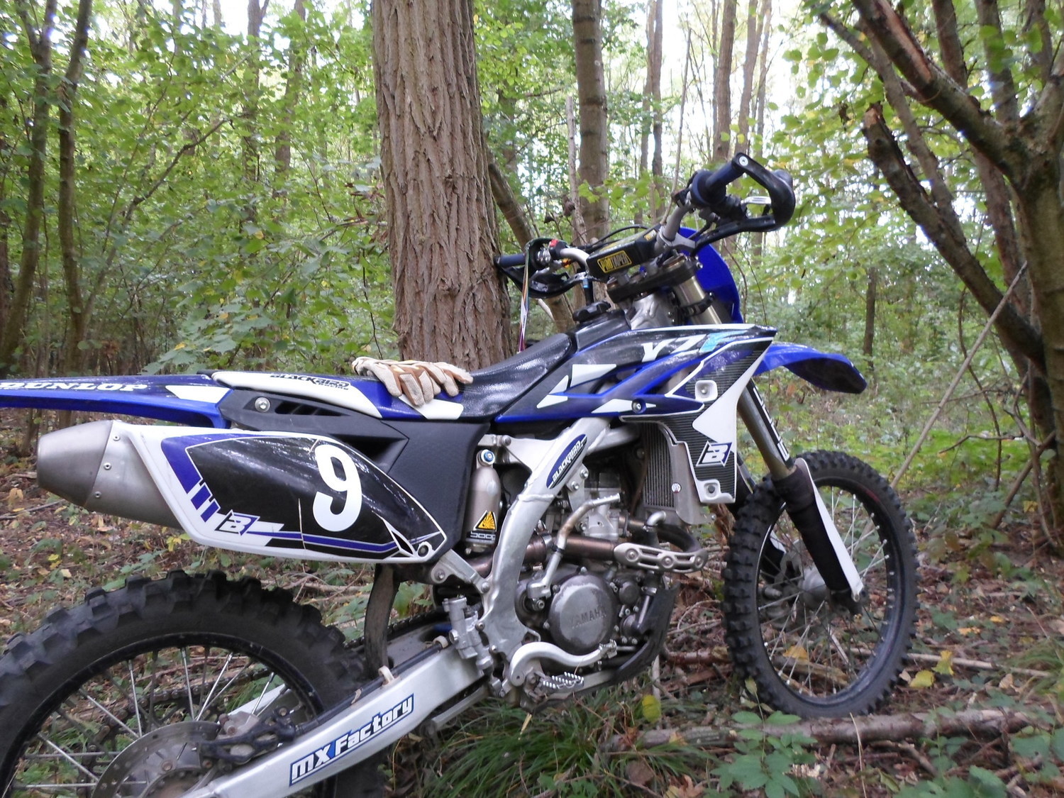 Photo 2811514