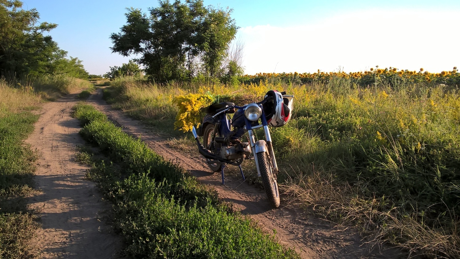 Bike Photo 2811526