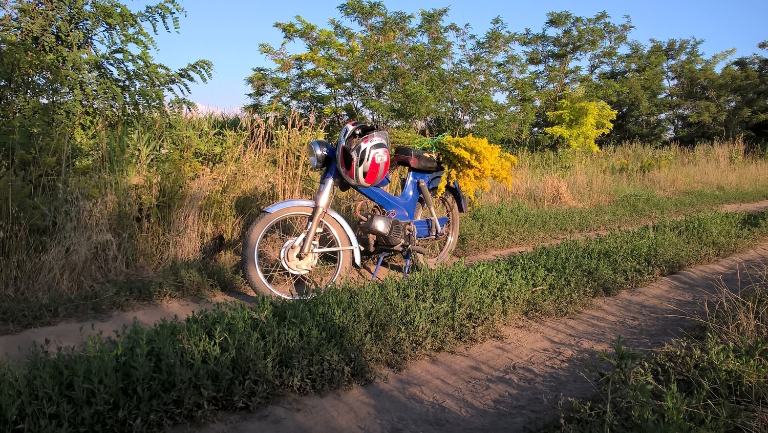 Bike Photo 2811527