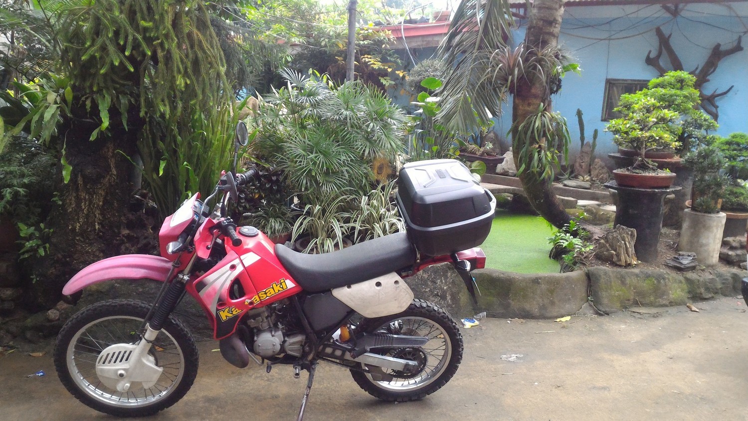 Photo 2811531