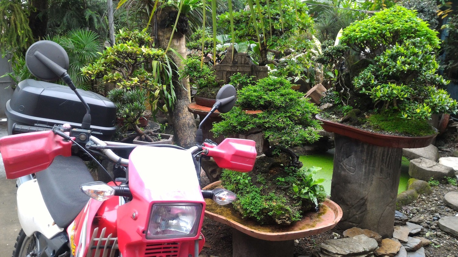 Bike Photo 2811534