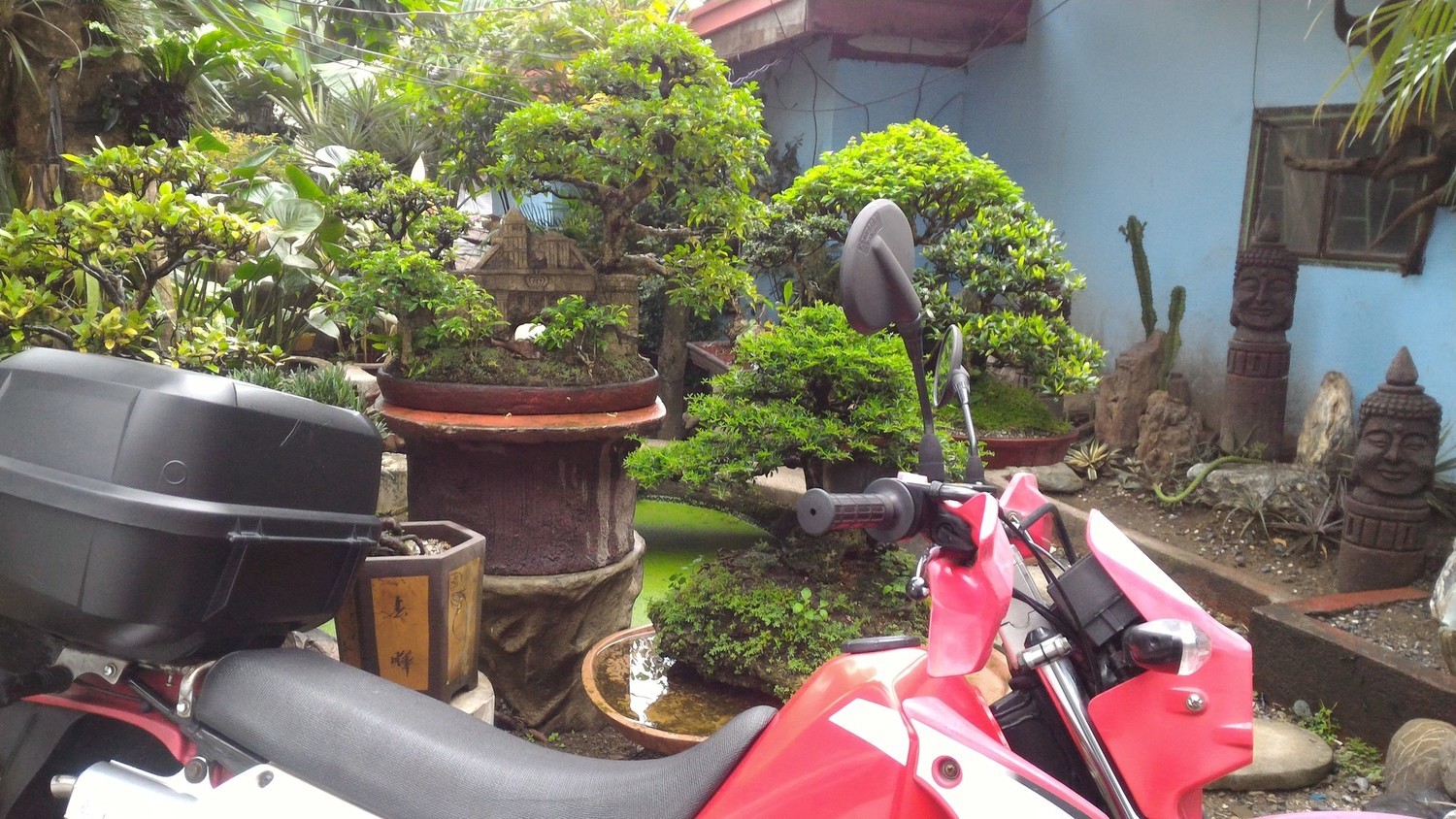 Bike Photo 2811535