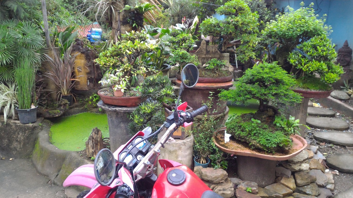 Bike Photo 2811540
