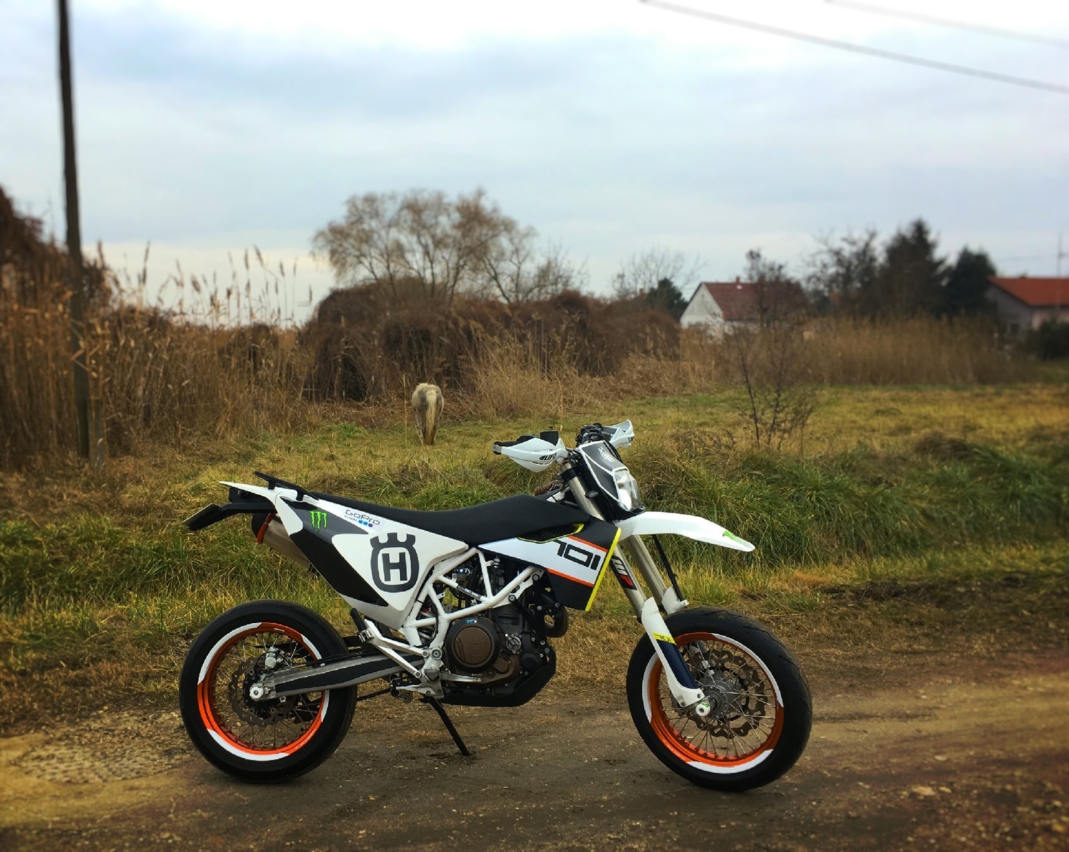 Photo 2811663