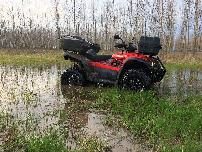 Photo 2811774