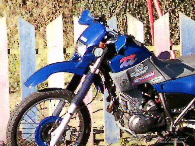 Photo 281198