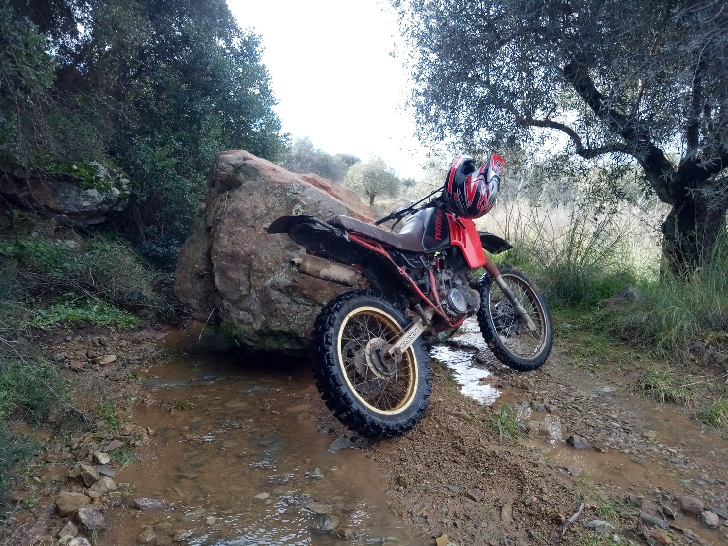 Bike Photo 2812091