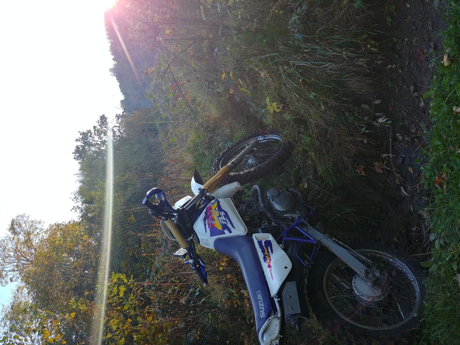 Photo 2812543