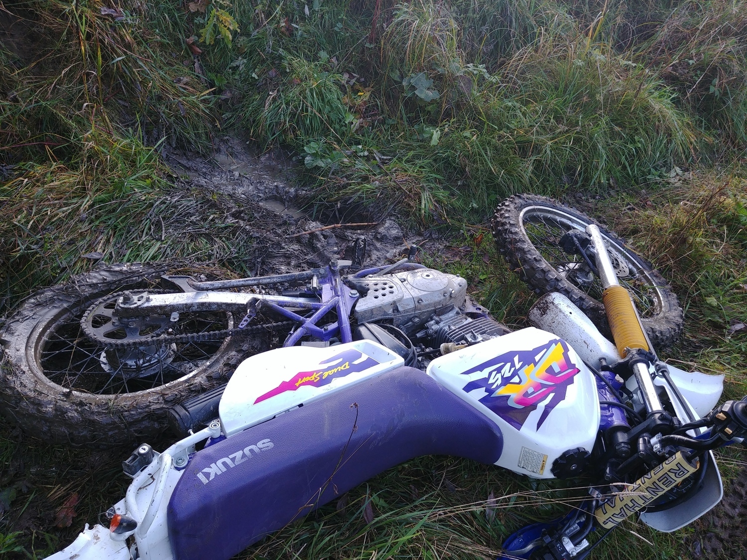 Photo 2812544
