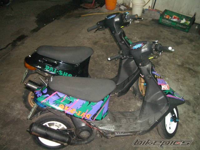Photo 281258