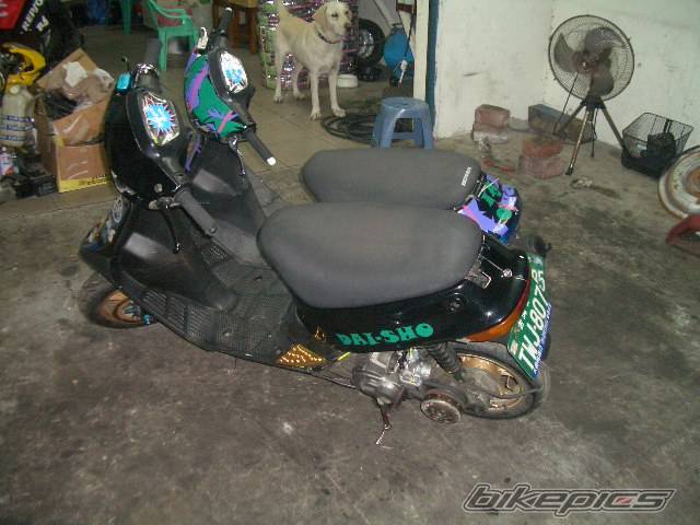 Photo 281261