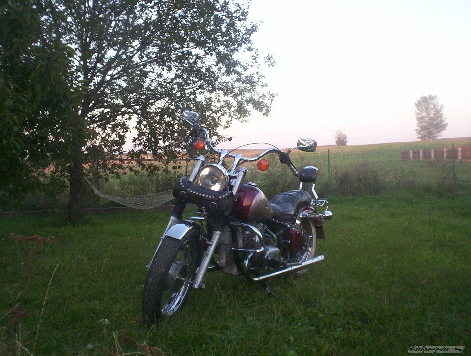 Photo 281266