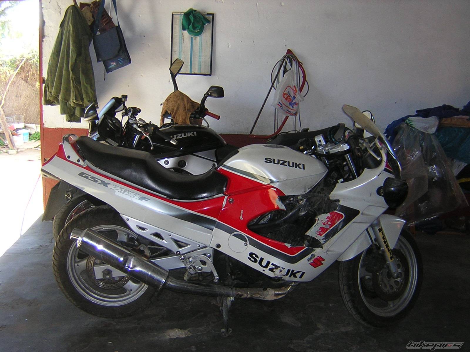 Photo 281273